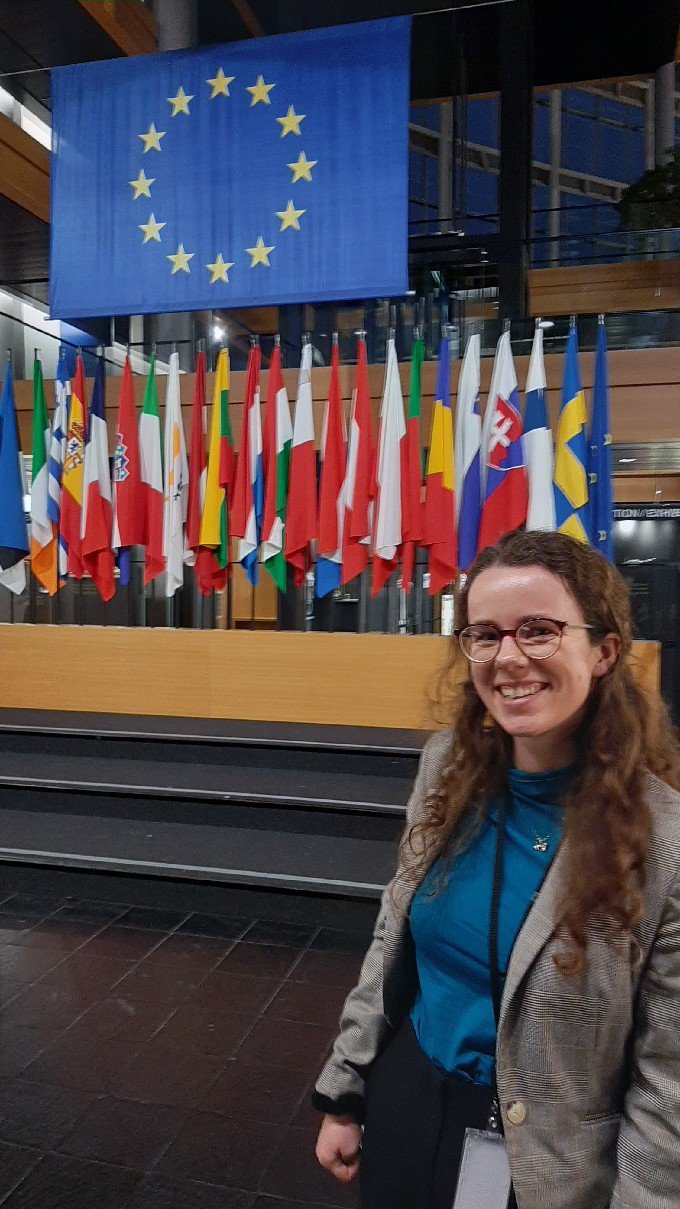 A woman standing in front of the EU and several country flags