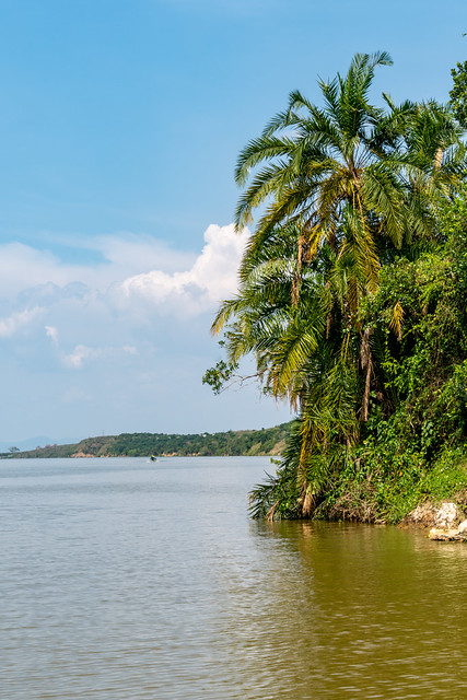Tropical shoreline of the Kazinga Channel - Uganda Africa