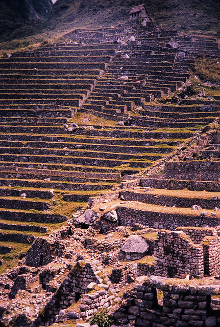 Terraces - Machu Picchu