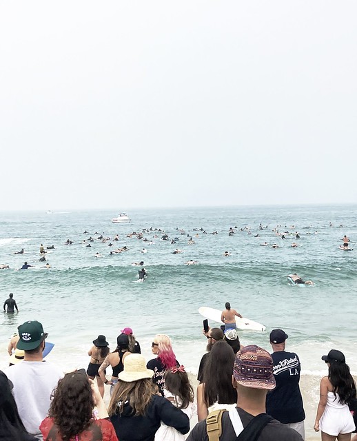 Venice Beach - paddle out.