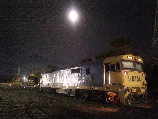 8134 Tindering in the Noonlight at Chew Laura