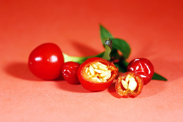 Piment Calabrese Seeds