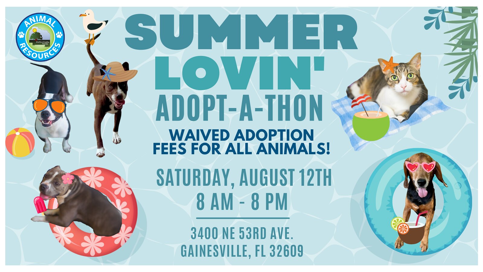 Summer Lovin' Adoption event flyer