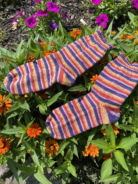 Jan (mrsjanknits) finished this pair is socks using a tutorial on YouTube by Orchard House Editing and Design called How to knit your first toe up sock. Yarn is WYS Signature 4 Ply.
