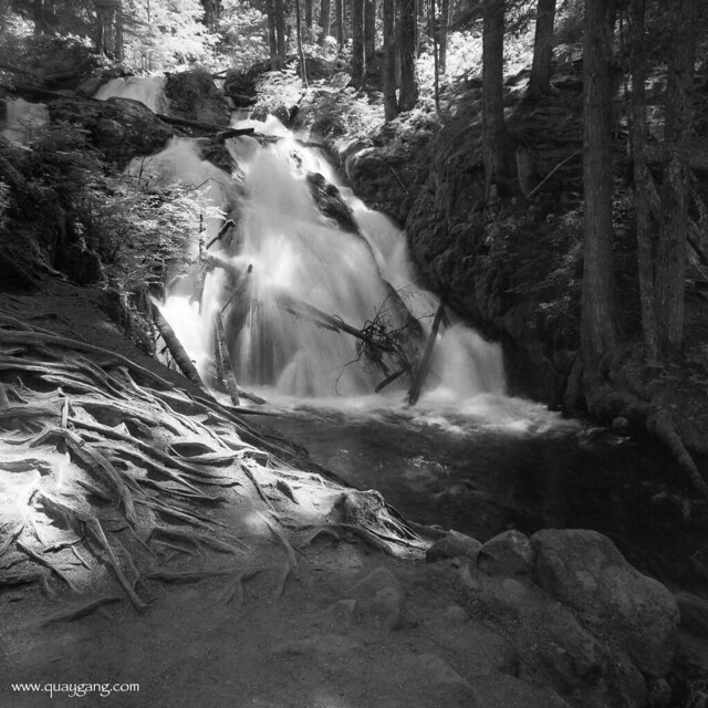 Little Zigzag Falls, Mount Hood National Forest, Oregon, July 2023