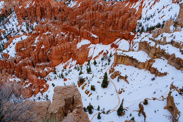 Famous hoodos of Bryce Canyon !!