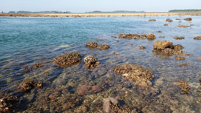 Living reefs of Terumbu Bemban, Aug 2023