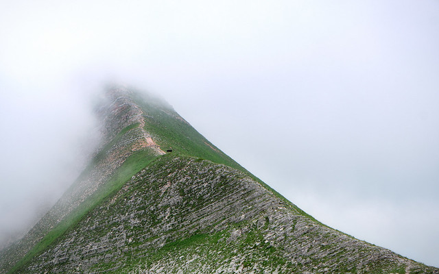 Sibillini - cima del  monte Sibilla fra la nebbia