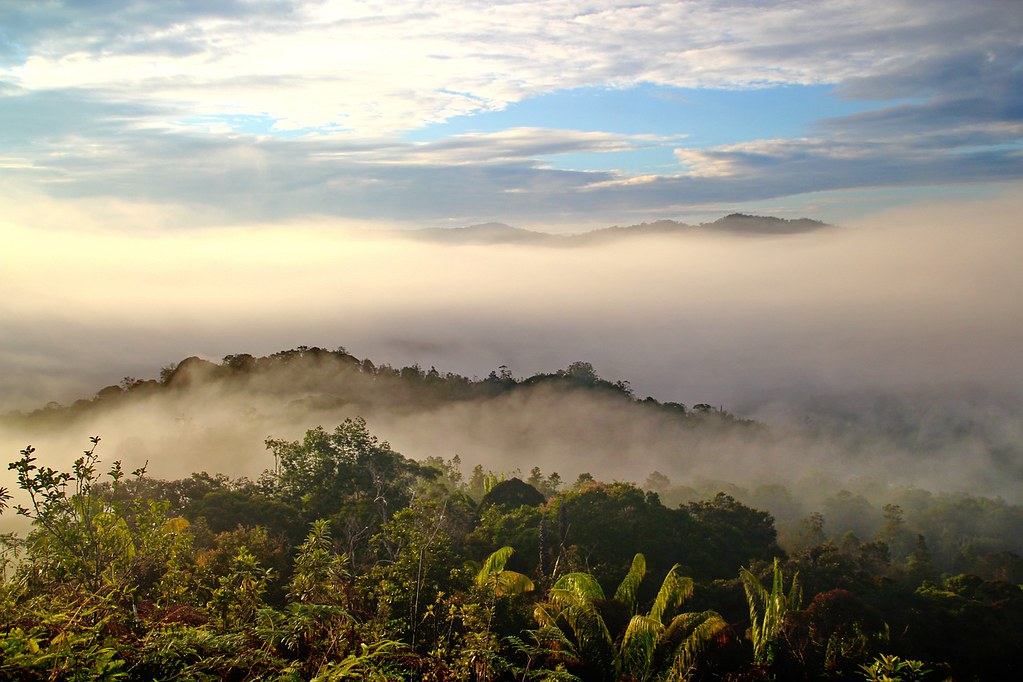 馬來西亞位於婆羅洲的領土有著廣袤的森林。圖片來源：Labang Longhouse Lodge／Pixabay