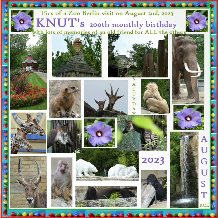 KNUT_200thmonthly_Aug2023_2_700x698_forBACKROOM_COLLAGE_Sa_09h30_230805