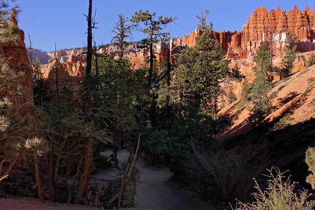 An Official Vacation Guide to Bryce Canyon National Park!