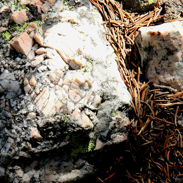 Fragment of granite pegmatite, well covered in lichen