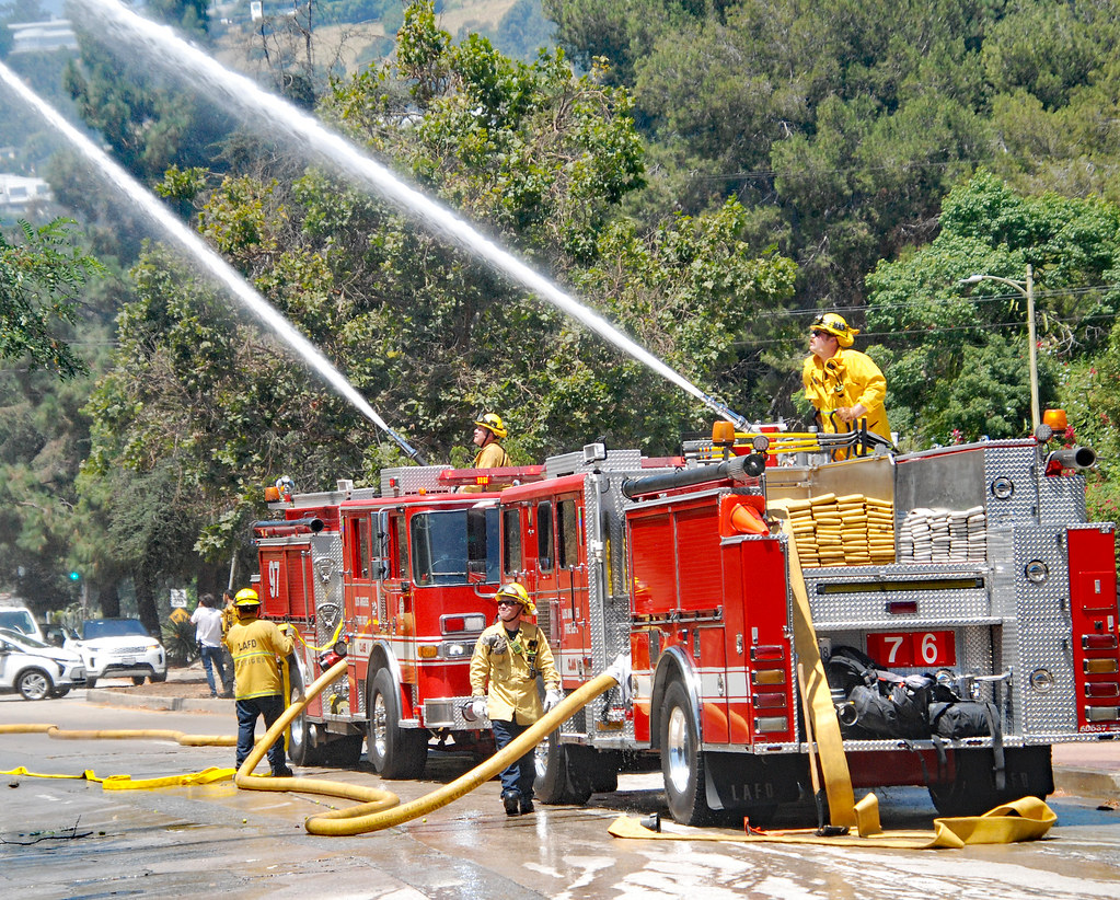 Trio Of Agencies Quickly Quench Hollywood Hills Brush Fire