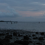 DSC06477 Evening at Cedar Key, Florida.  This is the view 100 feet from the Beach Front Motel (873 1st St, Cedar Key, FL 32625).  Recommended for low-key relaxation.  Hotel owner is fun too.