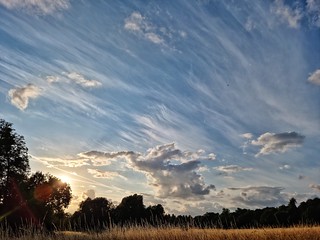 Evening skies in the park