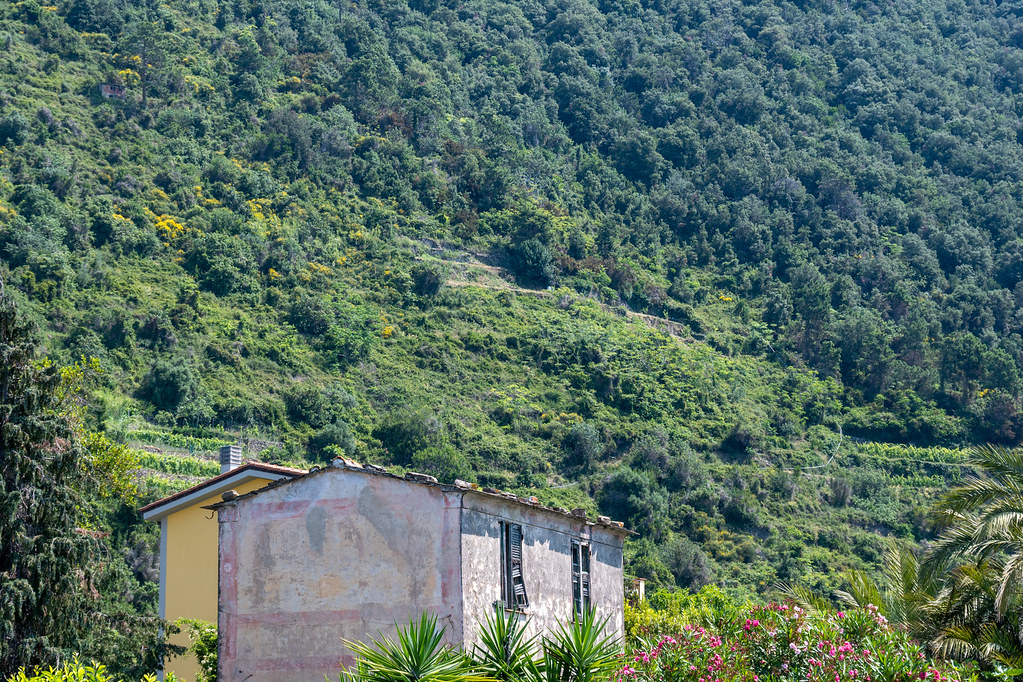 Cinque Terre_Day 2-31