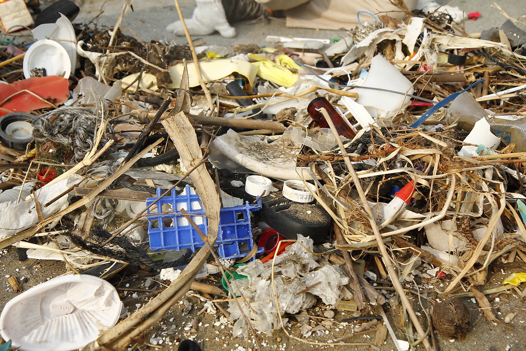 夾雜枯枝的海廢。圖片來源：台灣環境資訊協會提供