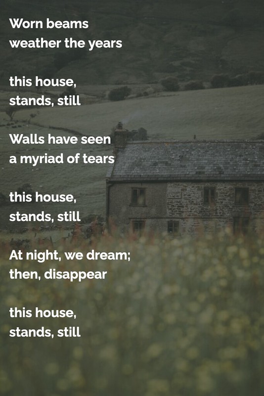 House Stands, Still