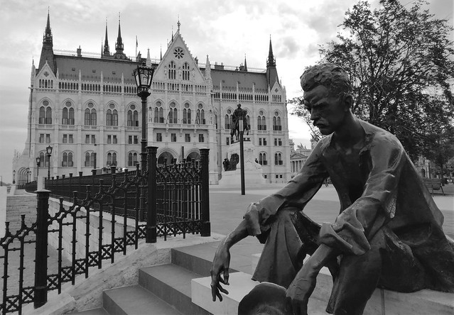 Contemplating the Hungarian Parliment