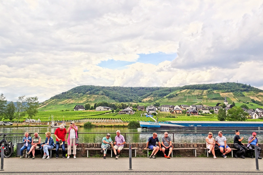 Mosel View #6