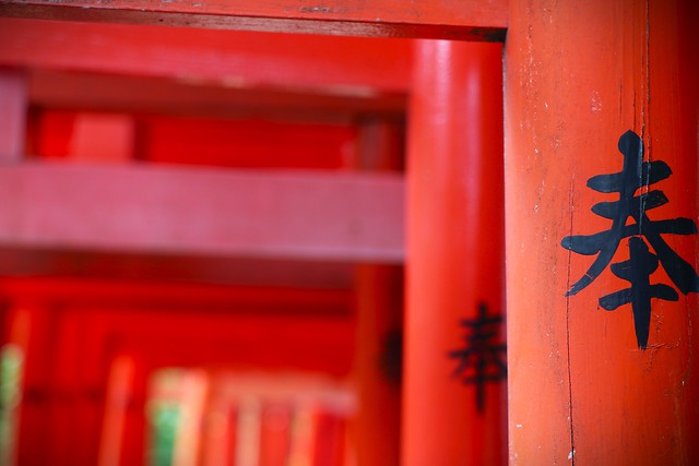 torii  closeup - tokyo