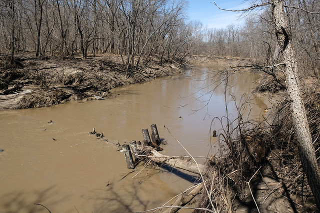 Wins a Best of Riverine Silt-Ladenness Award for March 2022: the Mussel Fork!, in northern Mo.