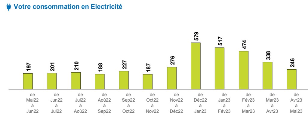 法國小家庭一年用電量，因暖器使用率高，用電高峰期約為冬季11月到3月左右。圖片來源：趙偉婷提供