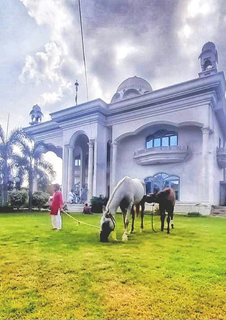 Khokhar palace Jandiala sher khan  Malik Shenshah Raza Rajput khokhar with Neli Malik Nader wali..