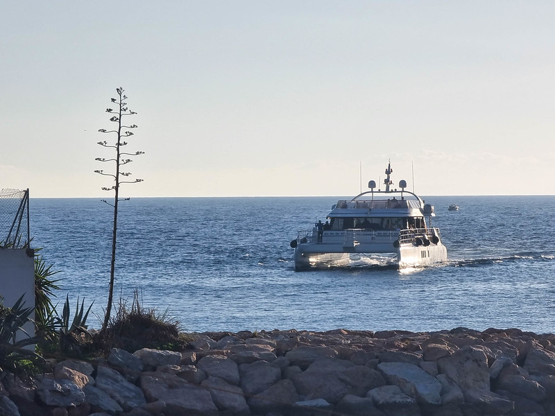 A large catamaran leaving the harbour, before sunset.