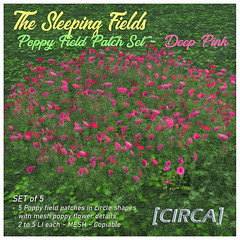 @ Enchantment | [CIRCA] - The Sleeping Fields - Poppy Field Patch Set - Deep Pink