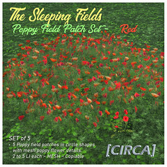 @ Enchantment | [CIRCA] - The Sleeping Fields - Poppy Field Patch Set - Red