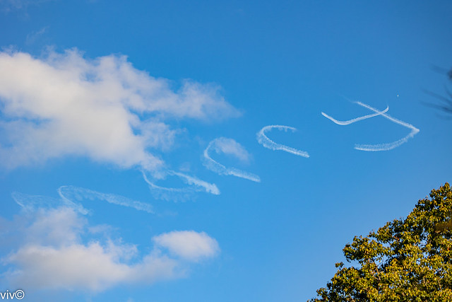 Some days ago, on a sunny winter evening, a Sydney person proposed marriage to the partner via skywriting visible over our garden. It's expensive at a minimum of A3,500 (US2,275)! Hope the partner accepted the proposal! See the plane at top right