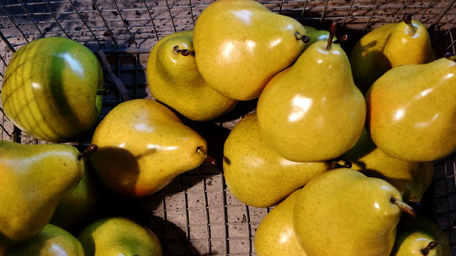 Delicious Green Pears,.. or are they?