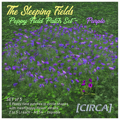 @ Enchantment | [CIRCA] - The Sleeping Fields - Poppy Field Patch Set - Purple