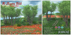 @ Enchantment | [CIRCA] - The Sleeping Fields - Oz Forest & Poppy Field Gateway Set