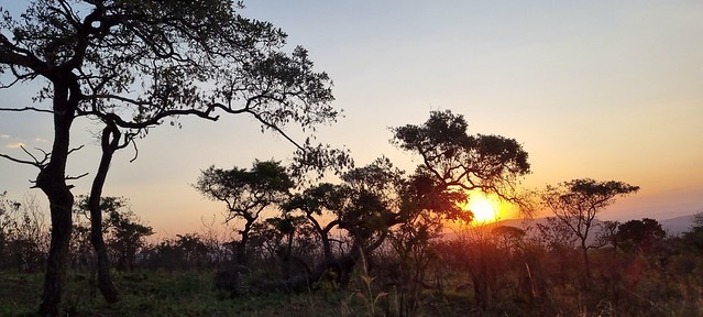 African Sunsets