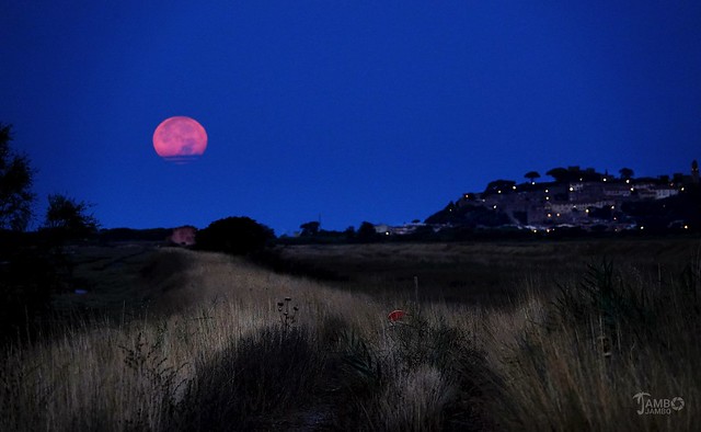 La luna rossa all'alba- The red moon at dawn