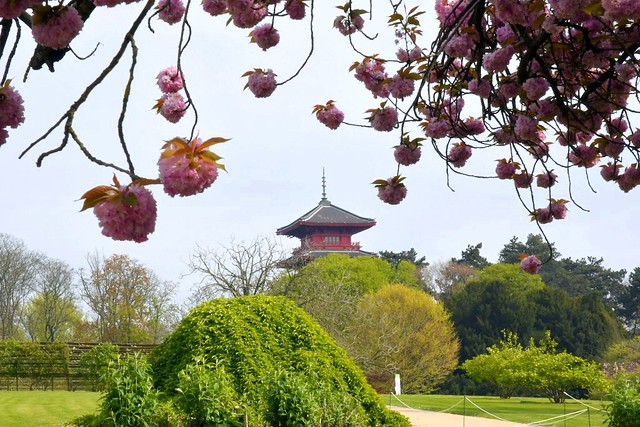 La Tour Japonaise et le Parc du Château de Laeken