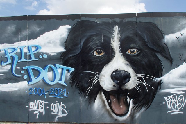 Graffiti Art in Kingston upon Hull