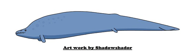 Extinct whale (†Perucetus colossus)