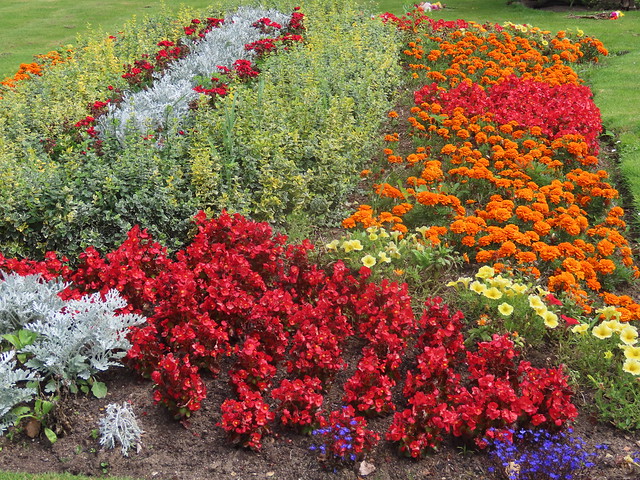 Colourful Planting