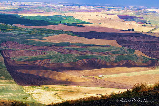 The Palouse, as Viewed from Steptoe Butte State Park, Washington