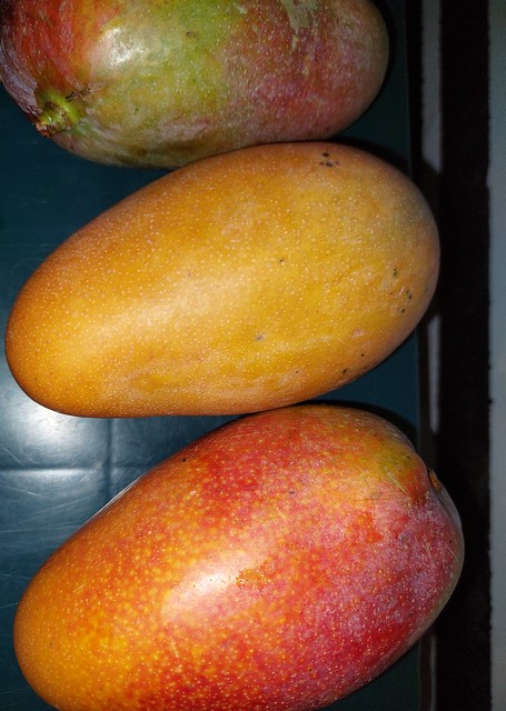 Mango to Enjoy the Day