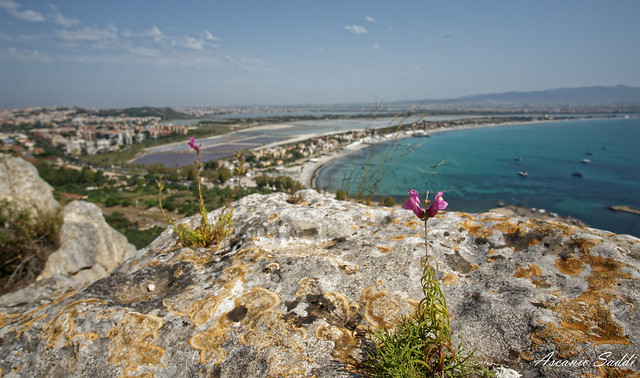 Veduta panoramica da Monte Sant’Elia (Cagliari)