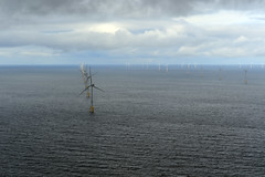 Aerial view of Beatrice offshore Windfarm