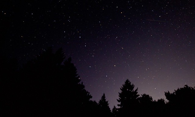 Night sky - looking north with a Perseid meteor to the Pole Star (top right) and the Big Dipper (mid-frame) with Arcturus (left-frame in the treetops)