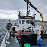 Shetland 2023 - On the Surface