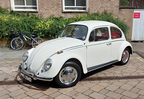 1966 Beetle