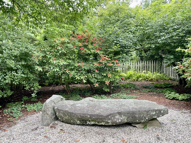 East Hampton-New York•Native Plant Garden