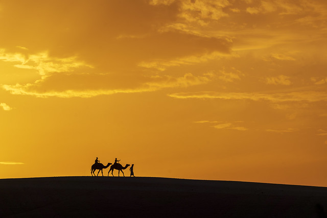 S100400 Camel Riders at Sunset in Algave 5a